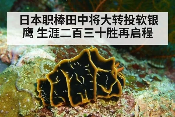 日本职棒田中将大转投软银鹰 生涯二百三十胜再启程